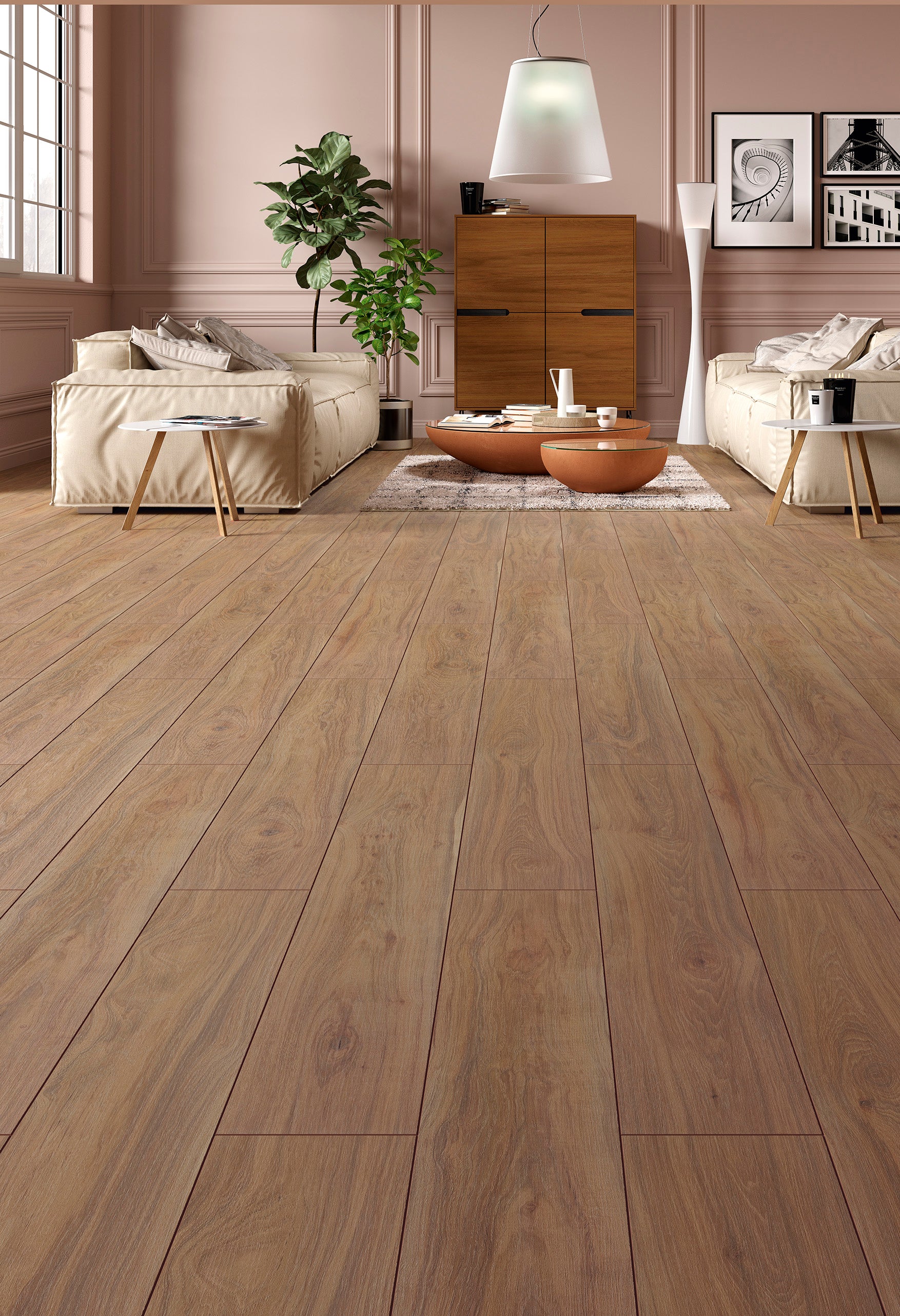 Hickory Carya 610