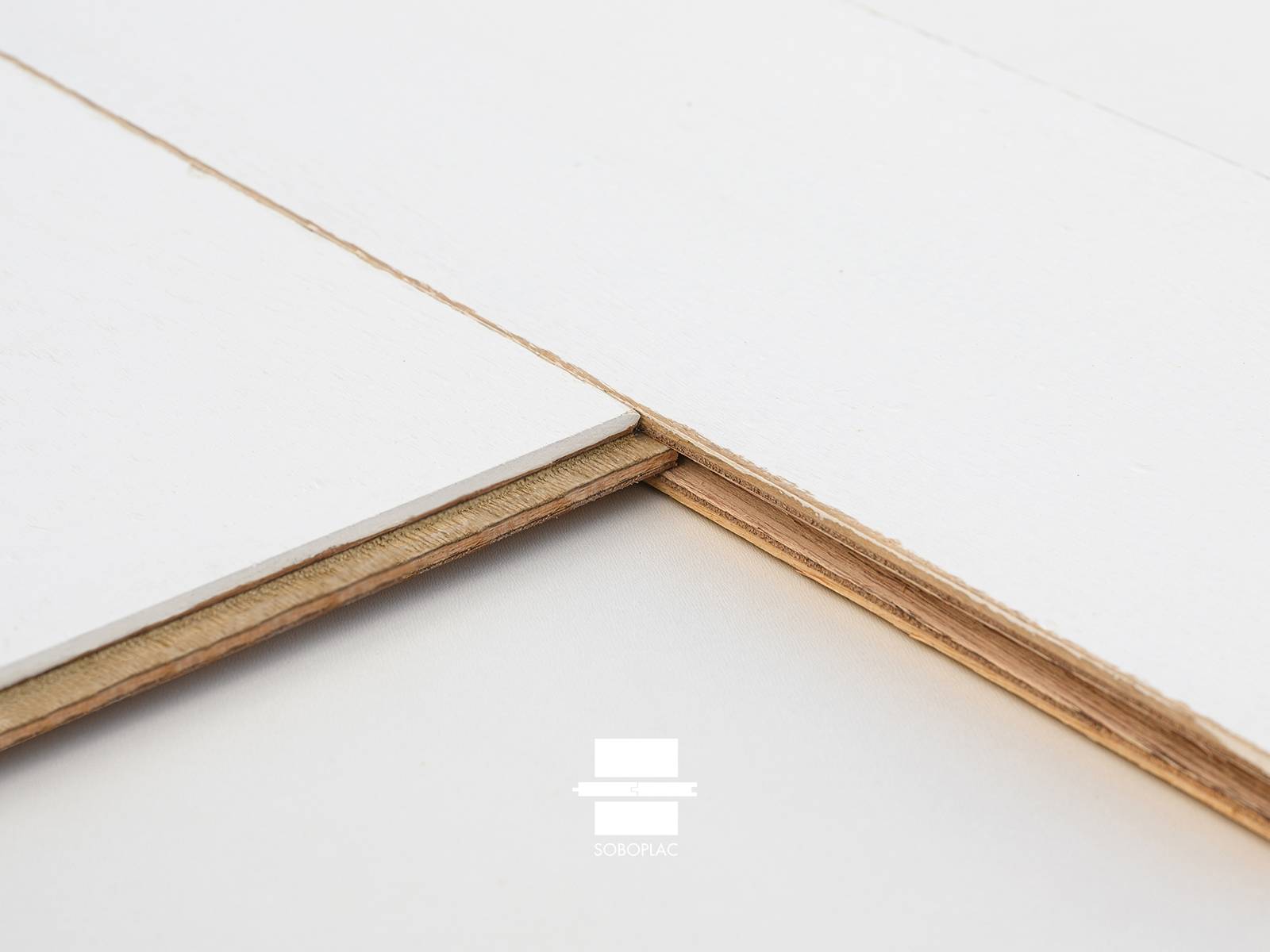 Caillebotte Planches Arguin