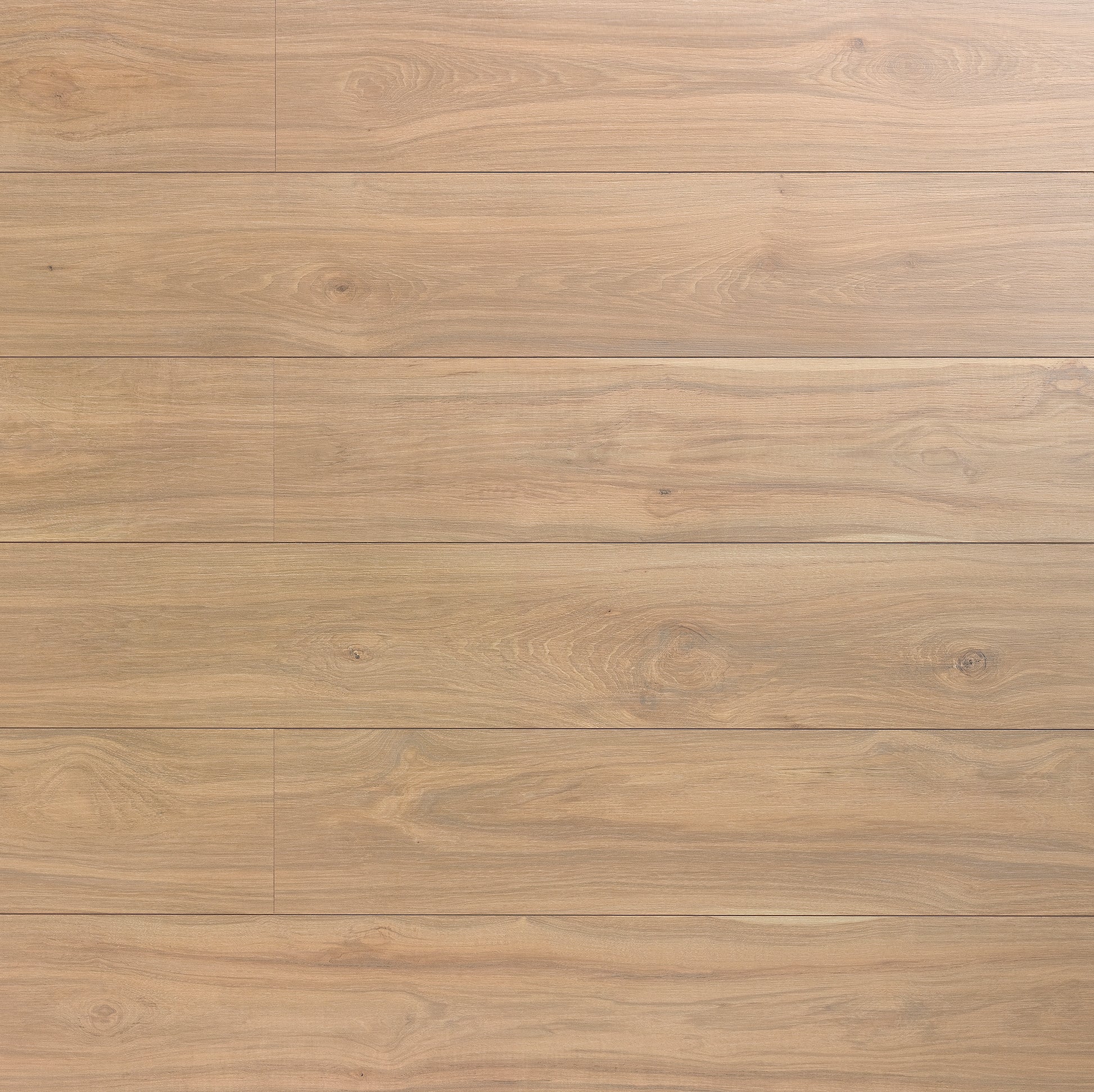 Montana Hickory 608