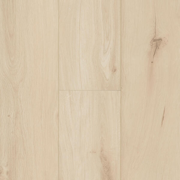 Gyant Light Sand  xl 12mm