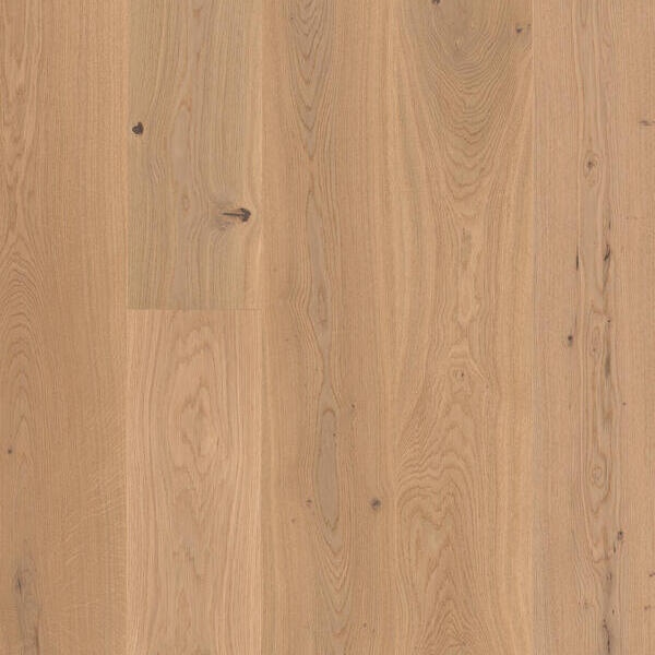 Perenne Exclusif authentique