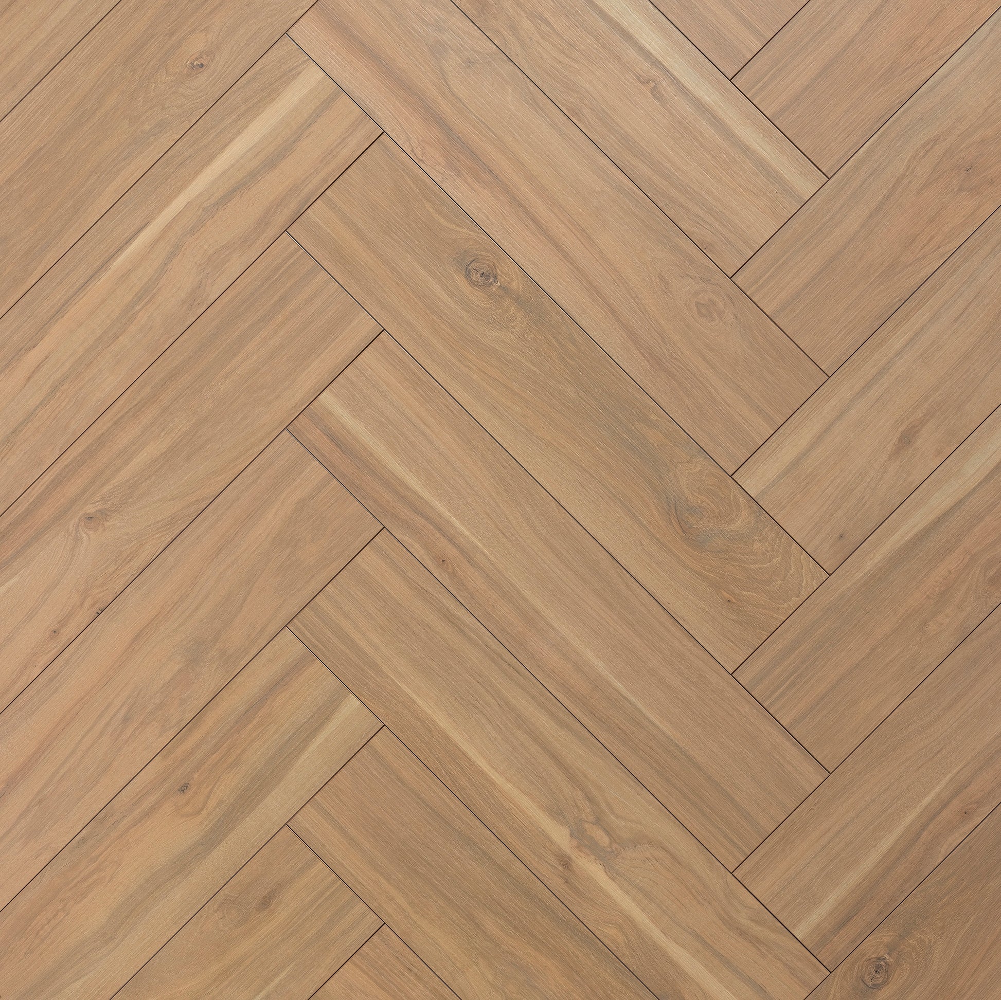 Hickory Montana 608 Bâton rompu