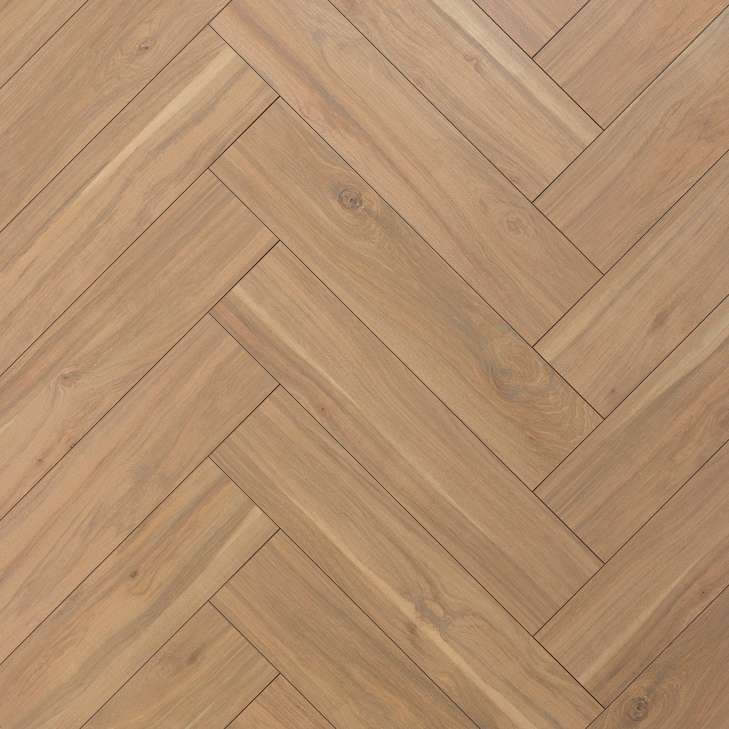 Hickory Montana 608 Bâton rompu