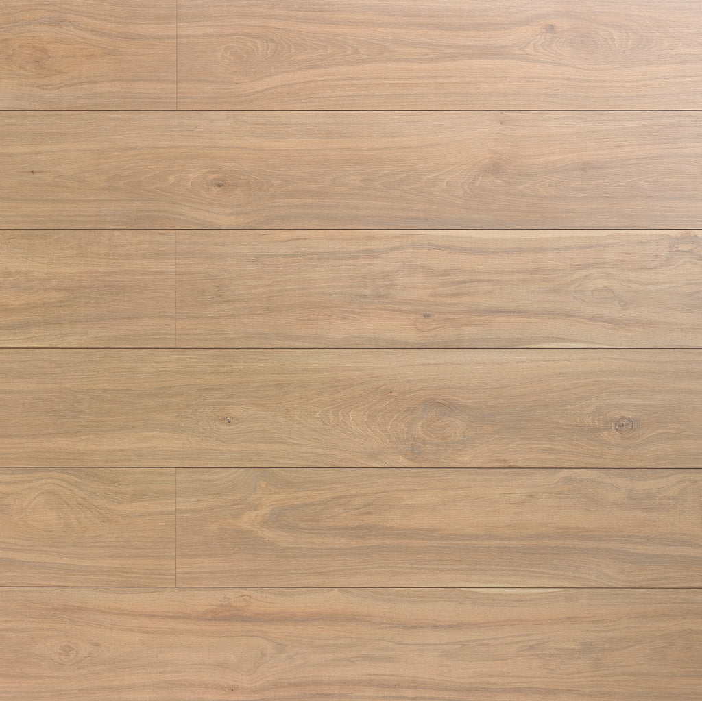 Montana Hickory 608
