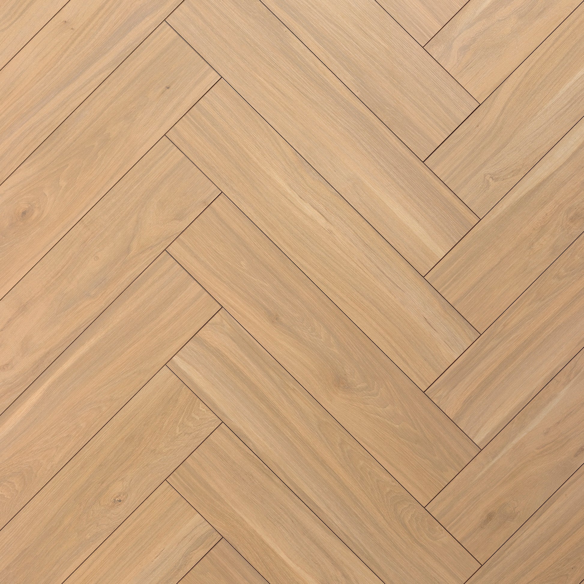 Hickory Yellowstone 609 Bâton rompu