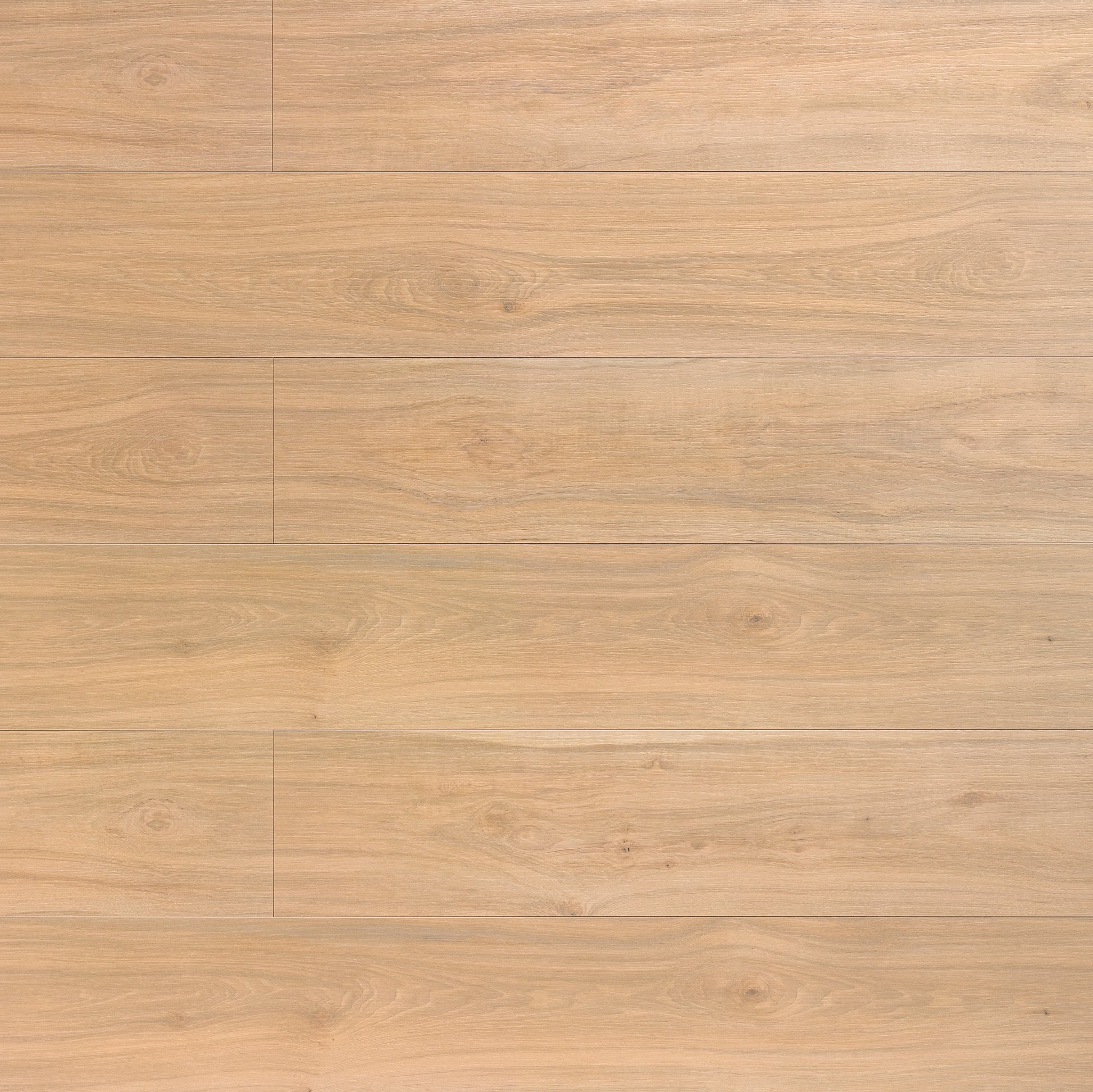 Yellowstone Hickory 609