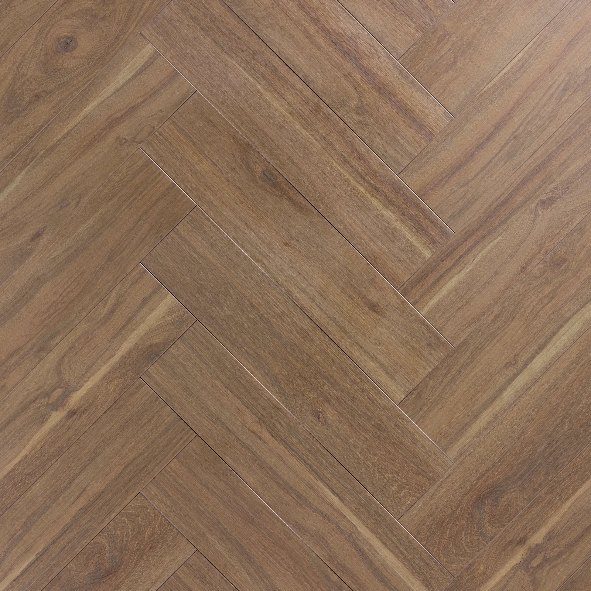 Hickory Carya 610 Bâton rompu