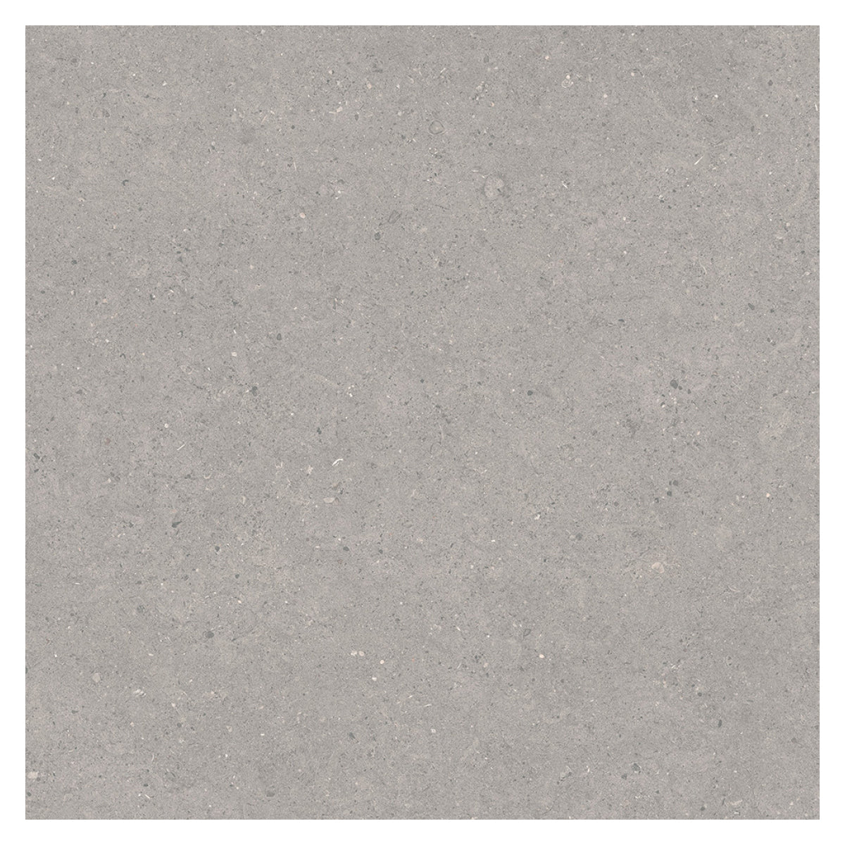 officina cloud SOLDE -55%
