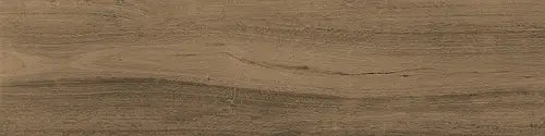 Silvis sichenia