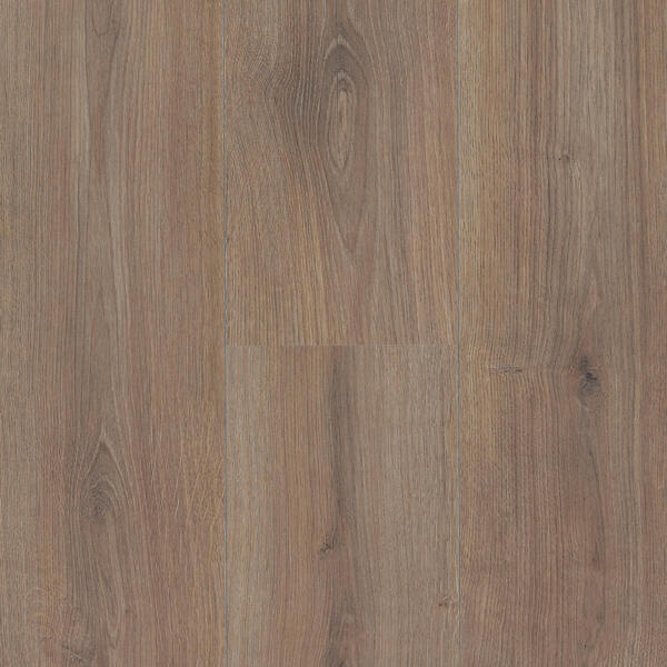 Butter scotch Oak