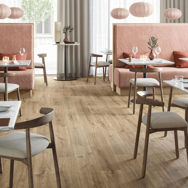 Butter scotch Oak