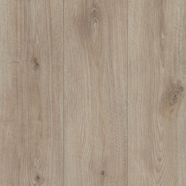 Dune Oak