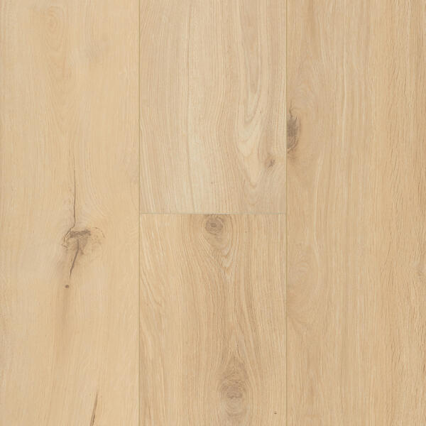 Gyant Sand Naturel xl 12mm