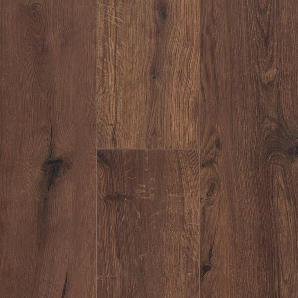 Gyant Warm Brown xl 12mm