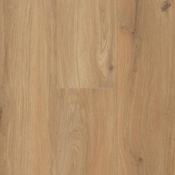 Gyant Warm Naturel xl 12mm