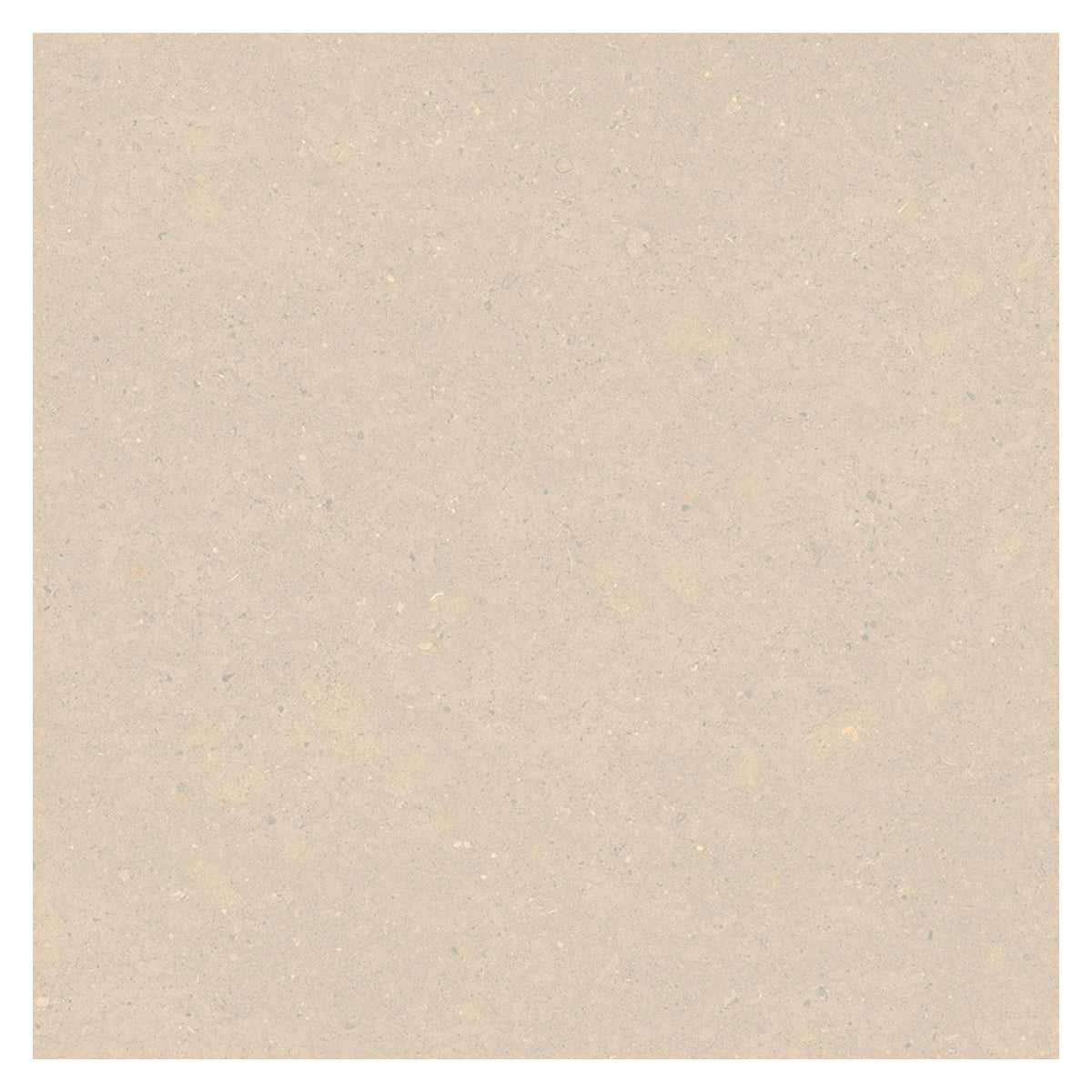 officica nude 60x60 SOLDE -55%
